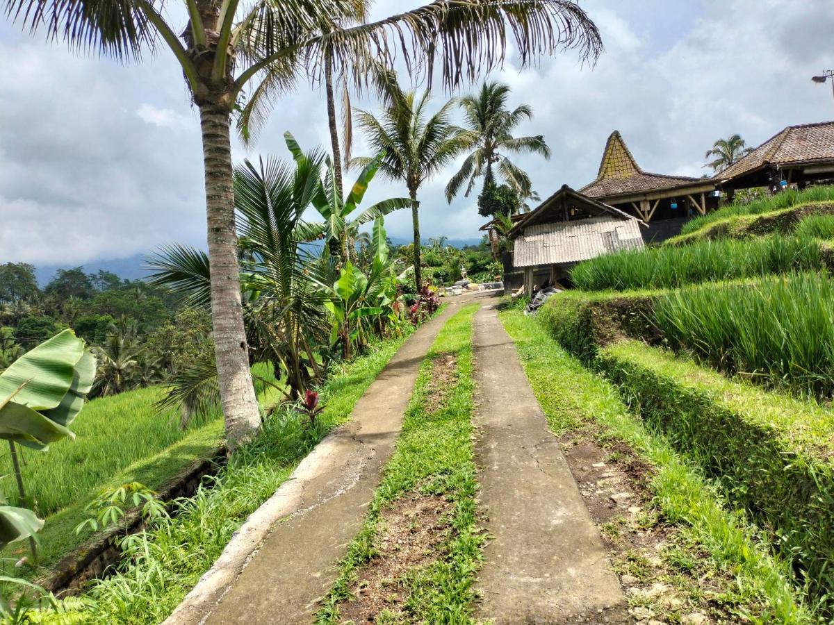Landhaus Magical Breeze Angsri